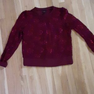 Long sleeved lacy shirt